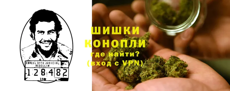 Канабис THC 21%  МЕГА вход  Нижнекамск  где купить наркоту 